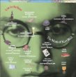 Various - Lost in the Stars: the Music of Kurt Weill